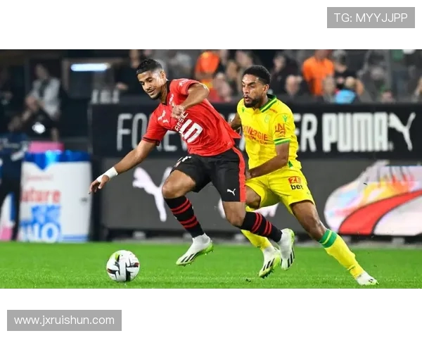 法甲球队球迷调查及其对体育竞技氛围的影响研究