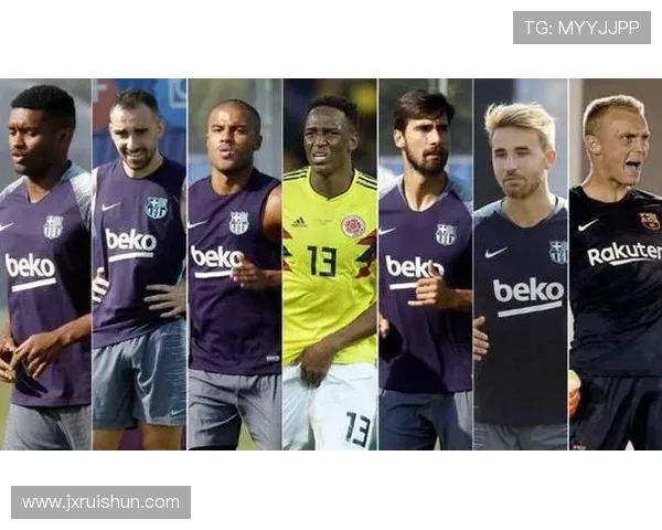 英超总球员数量统计及各俱乐部球员人数分布